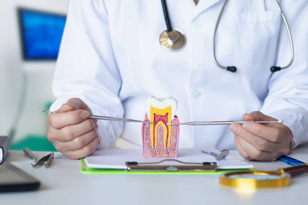 Best Emergency Dental Extractions in Emerson, NJ